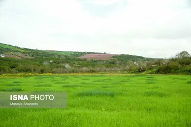 ایران زیباست | طبیعت بهاری روستاهای اطراف ساری