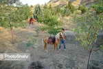 زیست پارک مشهد کجاست؟ + عکس و فیلم