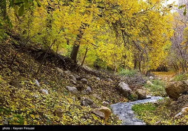 ایران زیباست | پاییز رنگارنگ کردستان