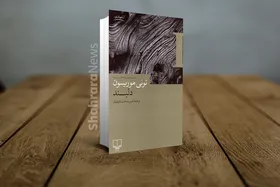 نگاهی به رمان &laquo;دلبند&raquo; نوشته تونی موریسن