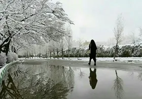 سفید&zwnj;پوشی مشهد در پاییز