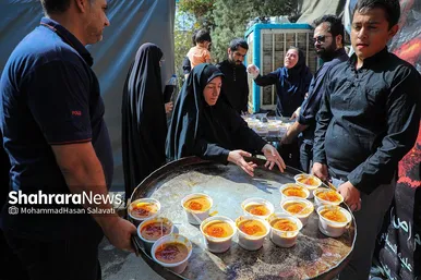 زائران پیاده امام رضا (ع)