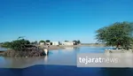 سیل سیستان و بلوچستان با باغداران و کشاورزان چه کرد؟ /کشاورزان از خسارات سیل می‌گویند