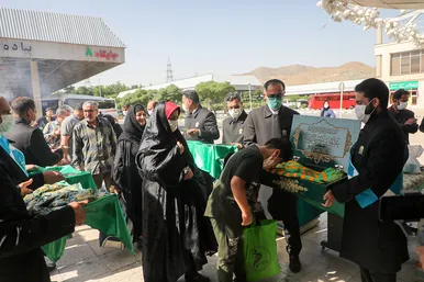 استقبال از زائران امام رضا(ع)