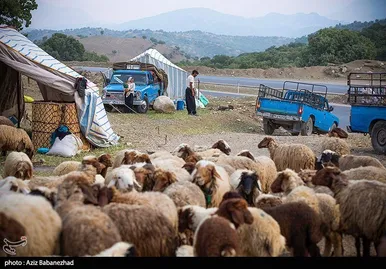 عبور عشایر از خرم آباد