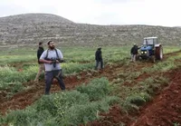 آزار حیوان توسط شهرک‌نشین صهیونیست | ادامه جنایات در کرانه باختری + فیلم