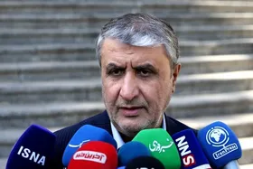 اسلامی: ایران در چارچوب پادمان فعالیت هسته&zwnj;ای دارد + فیلم