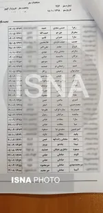 اعلام اسامی مسافران هواپیمای اوکراینی+ عکس