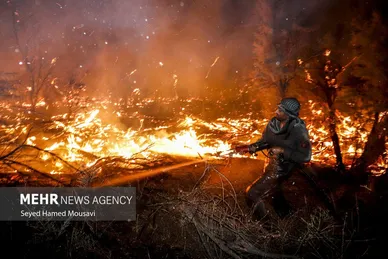 عکس‌هایی از آتش‌سوزی پارک ملی کرخه