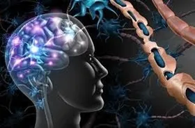 تنهامرکز جامع درمان بیماران ام&zwnj;اس شرق کشور در بیمارستان قائم(عج) مشهد فعال است