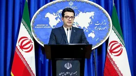 ابراز خشنودی سخن&zwnj;گوی وزارت خارجه از اجرای قانون اعطای تابعیت به فرزندان مادر ایرانی