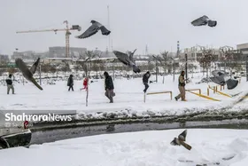 پیش&zwnj;بینی بارش برف و باران در اغلب مناطق کشور (۱۹ بهمن ۱۴۰۳)