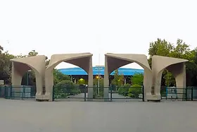 رئیس نهاد نمایندگی رهبری در دانشگاه&zwnj;ها: هیچ عذری در عدم جذب دانشجویان غیرایرانی پذیرفته نیست