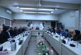سخنگوی قوه قضائیه: نقش سمن&zwnj;ها در کاهش آسیب&zwnj;های اجتماعی بی&zwnj;بدیل است