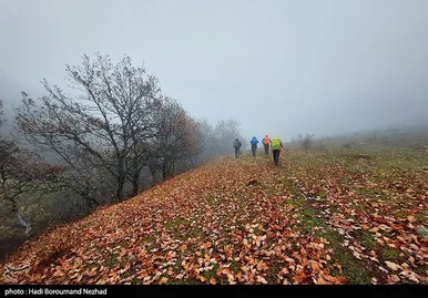 ایران زیباست | پاییز در ارسباران