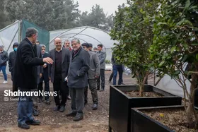 شهردار مشهد مقدس: گذر گل در نوروز ۱۴۰۴ ایجاد می&zwnj;شود | در حوزه زیباسازی شهر و المان&zwnj;های شهری ویژه&zwnj;تر کار می&zwnj;کنیم