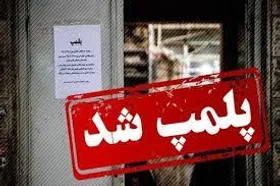 پلمب واحد&zwnj;های صنفی شغل&zwnj;مزاحم و انبار&zwnj;های ضایعات متخلف در مشهد (۴ دی ۱۴۰۳)