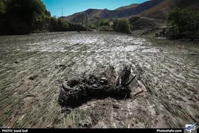 توضیحات بخشدار مرکزی مشهد در پی وقوع سیل در روستای ده&zwnj;غیبی (۲۱ اردیبهشت ۱۴۰۳)