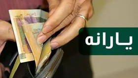 جزئیات آیین&zwnj;نامه هدفمندی یارانه&zwnj;ها/ آغاز حذف یارانه نقدی ۳ دهک بالای درآمدی+سند
