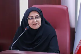 انصاری: نظام ویژه استاندارد خراسان رضوی تدوین می&zwnj;شود | اعطای &laquo;نشان ملی زائر&raquo; از سال ۱۴۰۵