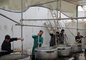 همراهی ۱۰۰۰ خادم بارگاه رضوی با زائران اربعین در عتبات عالیات (۱۱ مرداد ۱۴۰۴)