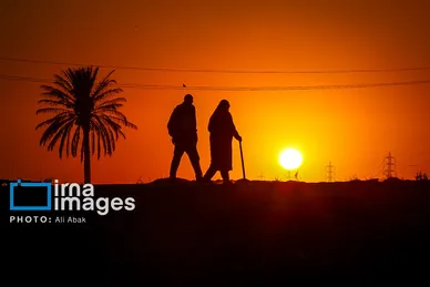 گزارش تصویری | پیاده روی در مسیر نخلستان‌های عراق