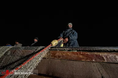 آغاز فصل صید ماهی استخوانی در مازندران
