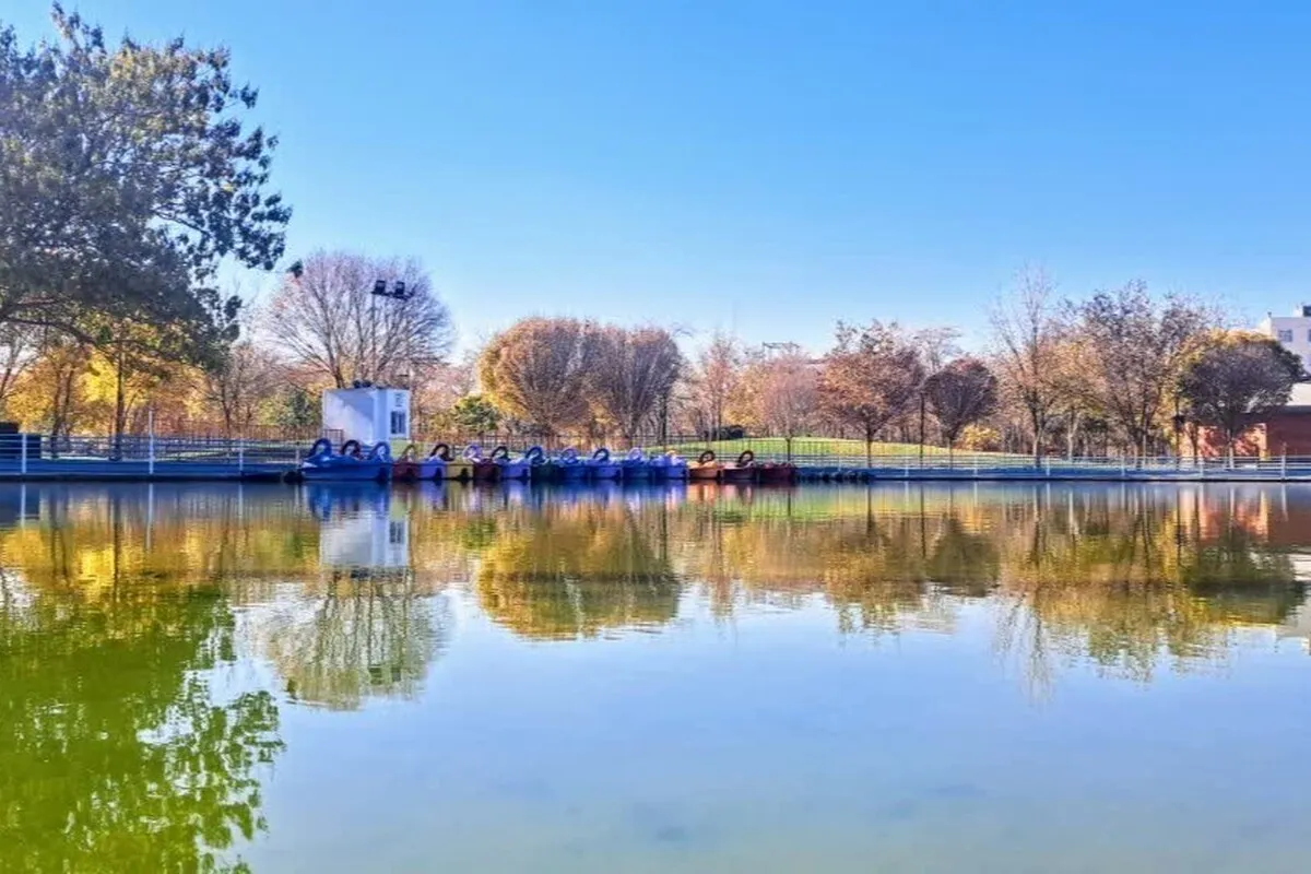 شهروند خبرنگار | نمایی زیبا و پاییزی از بوستان ارم در محله پنجتن مشهد