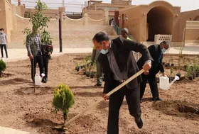 ضرورت آغاز طرح مردمی کاشت یک میلیون درخت در کشور