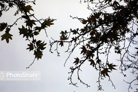 پیش&zwnj;بینی جوی پایدار در اکثر نقاط کشور از جمعه (۲۴ اسفند ۱۴۰۳) تا اواسط هفته آینده