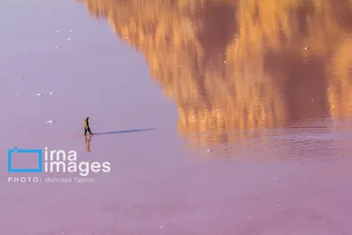 گزارش تصویری | بازگشت گردشگران به دریاچه ارومیه