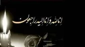 حجت الاسلام مجتبی بروجردی درگذشت (۲۳ دی ۱۴۰۴)