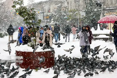 ایران زیباست | بارش برف در رشت