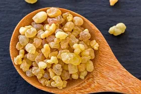 تاثیر گیاه کندر بر کبد و کلیه