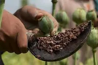 ایران با جرم زدایی از مواد مخدر مخالفت کرد