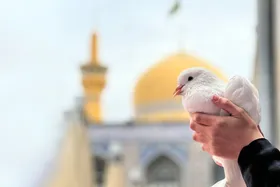 حمایت از مظلوم را از امام رضا (ع) یاد گرفته&zwnj;ایم