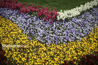 گزارش تصویری | بازدید استاندار خراسان رضوی و شهردار مشهد از پارک گل های مشهد