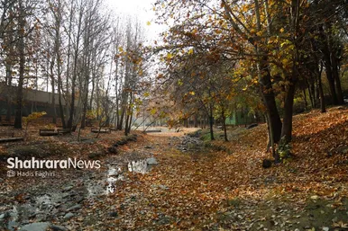عکس‌هایی از طبیعت پاییزی بوستان وکیل آباد مشهد