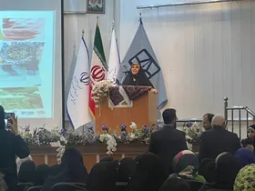 رییس مرکز ملی فرش دستباف: مرکز رشد تخصصی فرش دستباف در کشور راه&zwnj;اندازی می&zwnj;شود