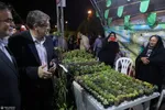 بازدید شهردار مشهد مقدس از جشنواره‌های ریحان شهر و نسیم کرامت در بوستان‌های ریحانه و بهار + تصاویر