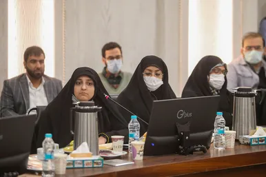 نشست هم اندیشی اساتید دانشگاه علوم پزشکی مشهد با سخنگوی دولت