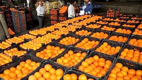 بیش از ۱۴۰۰ تن میوه تنظیم بازار نوروز ۱۴۰۱ روی دست تعاون روستایی خراسان رضوی