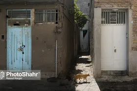 حمایت ویژه سازمان اوقاف از بازسازی و نوسازی بافت&zwnj;های فرسوده
