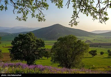 ایران زیباست | دشت گل‌های بنفش در شهرستان خرم آباد