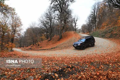 ایران زیباست | خزان در جنگل «مازیچال» - مازندران
