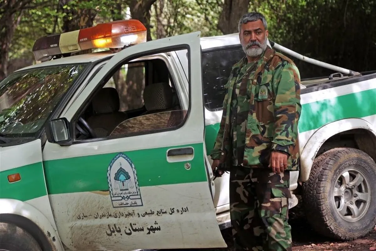 سریال «سرخدار» آماده پخش از تلویزیون شد + بازیگران و خلاصه داستان