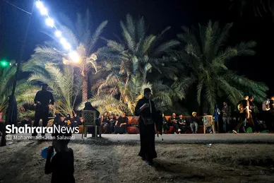 گزارش تصویری | پیاده روی شبانه زائران اربعین در طریق العلماء