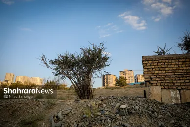 گزارش تصویری | بازدید مدیران استانی، ستاد بحران استان و مدیران شهرداری از مسیل‌ها و ارتفاعات جنوبی مشهد