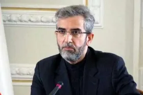 باقری: اعضای &laquo;دی ۸&raquo; اعتقادی به مسامحه در برابر رژیم صهیونیستی ندارند