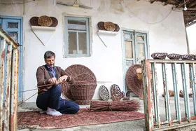 بی سر و سامانی ترکه&zwnj;های سرخ ارغوان